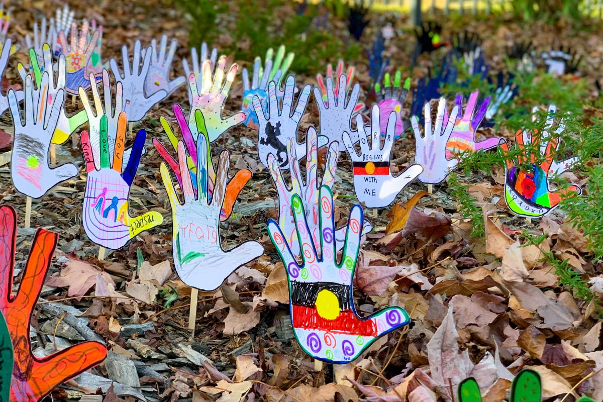 Our Lady of the Nativity Lawson, St Finbar's Primary Glenbrook, Catherine McAuley Westmead, Mother Teresa Primary Westmead St Paul's Catholic College Greystanes