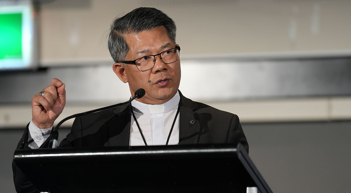Reverend Vincent Long Van Nguyen OFM Conv DD