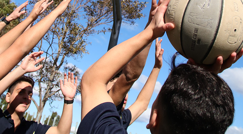 Sports at St Pauls Catholic College Greystanes